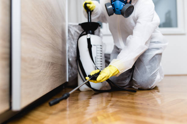 Best Best Pest Control Companies  in Moncks Corner, SC