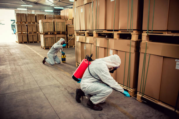 Best Local Pest Control Services  in Moncks Corner, SC