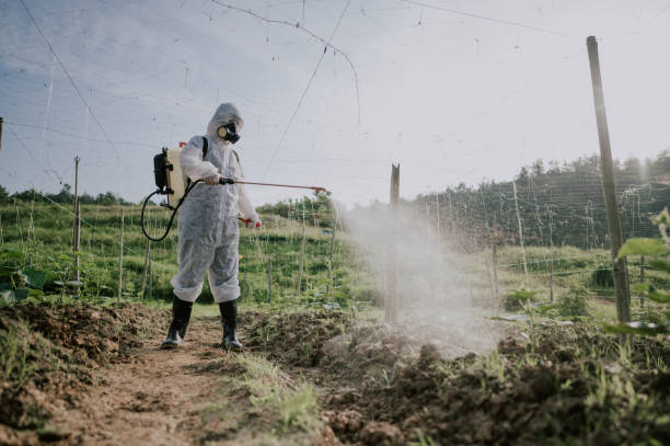 Best Commercial Pest Control Services  in Moncks Corner, SC