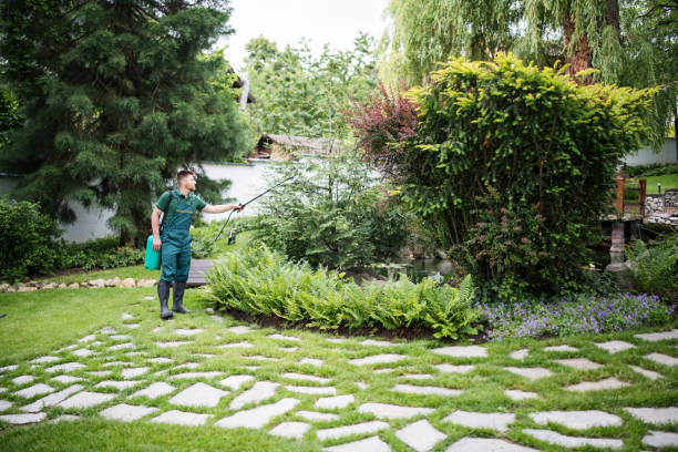 Best Best Pest Control Companies  in Moncks Corner, SC