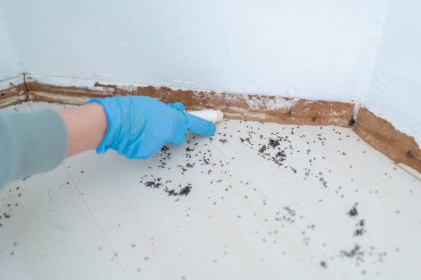 Best Pest Inspection Near Me  in Moncks Corner, SC